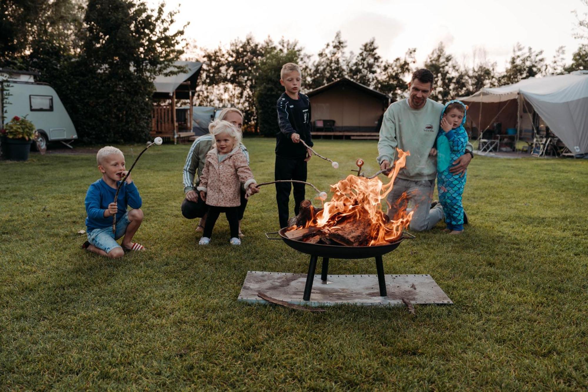 Chalet Tulpenweide - Recreatie Breezand Kültér fotó